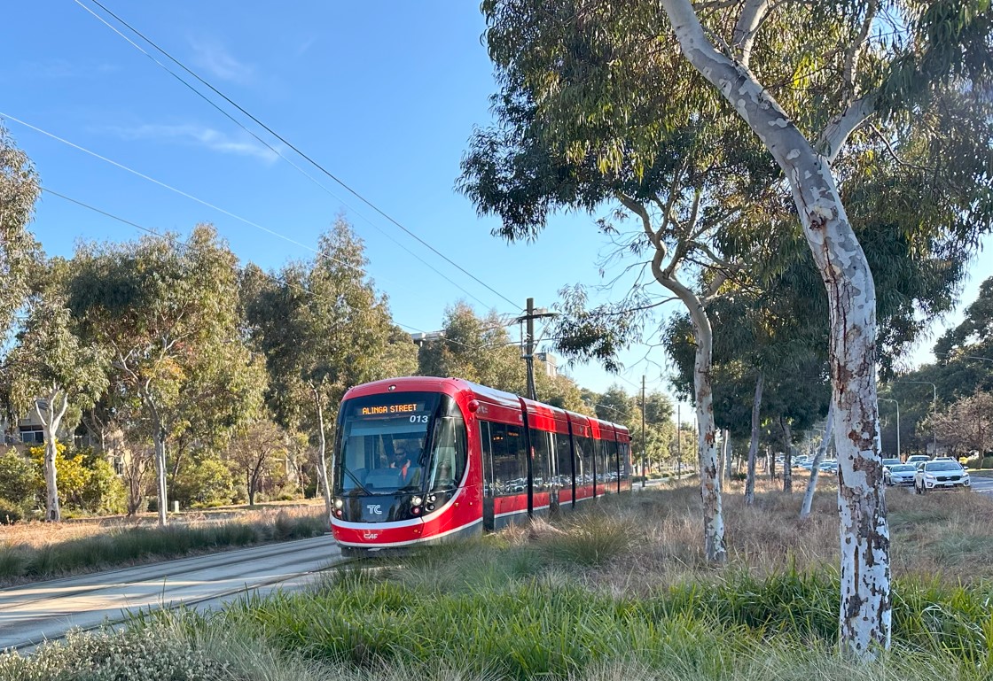 Transport Canberra Tram